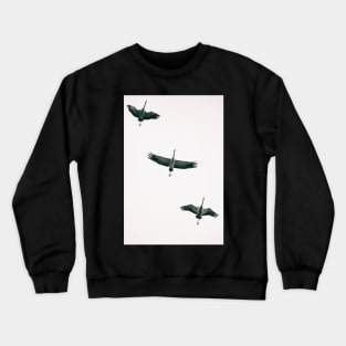 Three Common Cranes Flying in Midair From Below Crewneck Sweatshirt